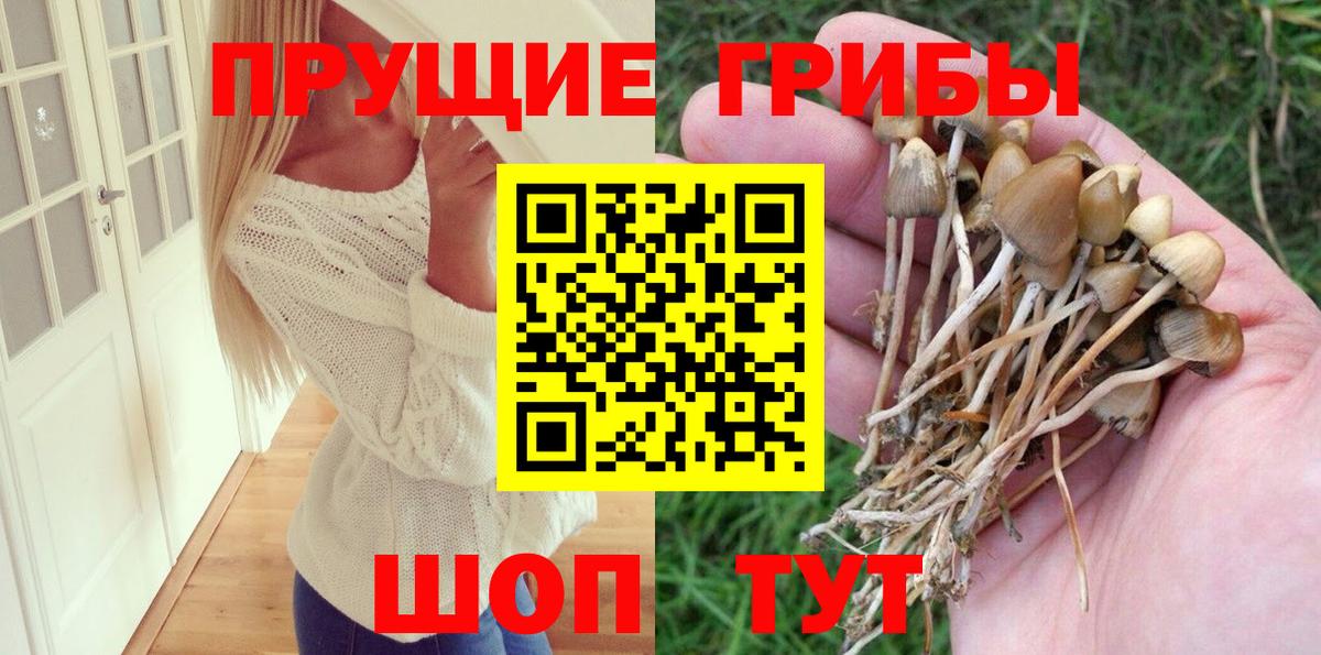 Галлюциногенные грибы ЛСД  Псилоцибиновые грибы GOLDEN TEACHER  Россошь  Вход с VPN 