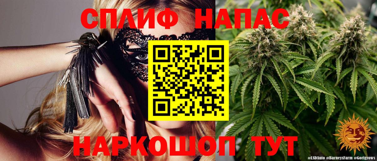 МАРИХУАНА конопля Россошь